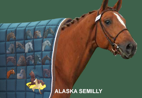 alaska-semilly