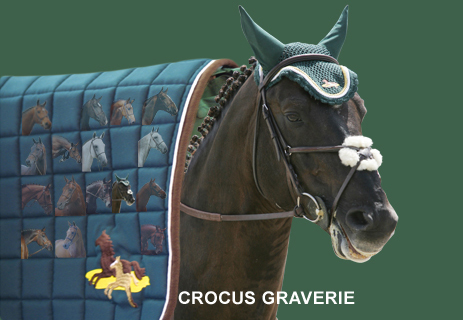 crocus-graverie